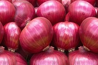 onion1